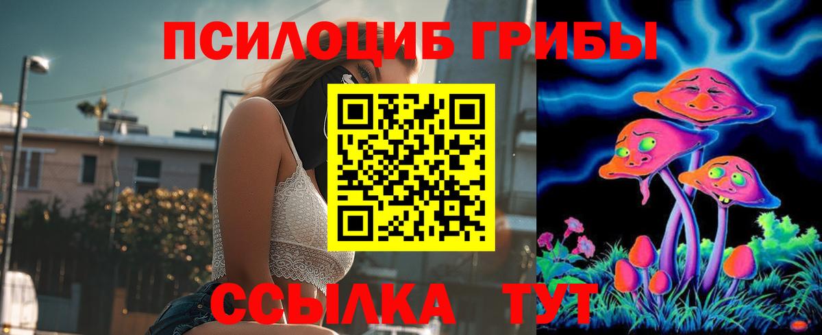 Псилоцибиновые грибы Psilocybine cubensis Домодедово
