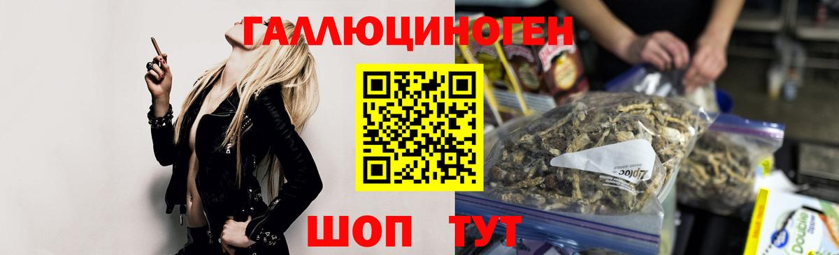 Псилоцибиновые грибы MAGIC MUSHROOMS  купить наркотик  Домодедово  Вход с VPN 